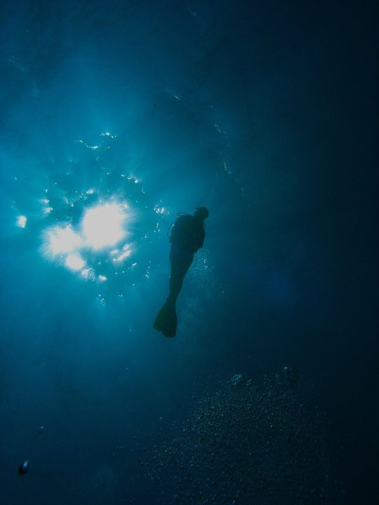 Dive Gizo-Gizo必去景点