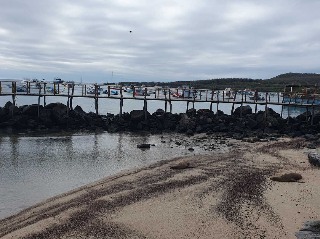 Cerro Tijeretas-Puerto Baquerizo Moreno必去景点