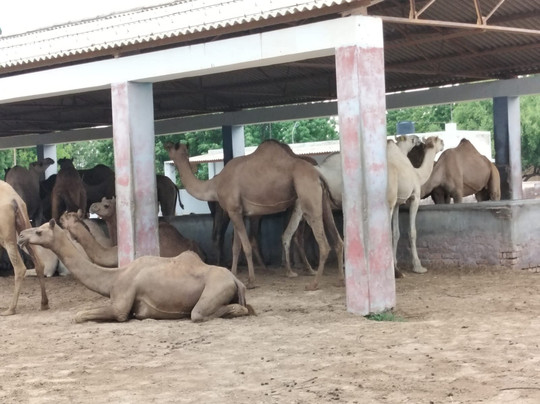 Vinayak Guest House主图