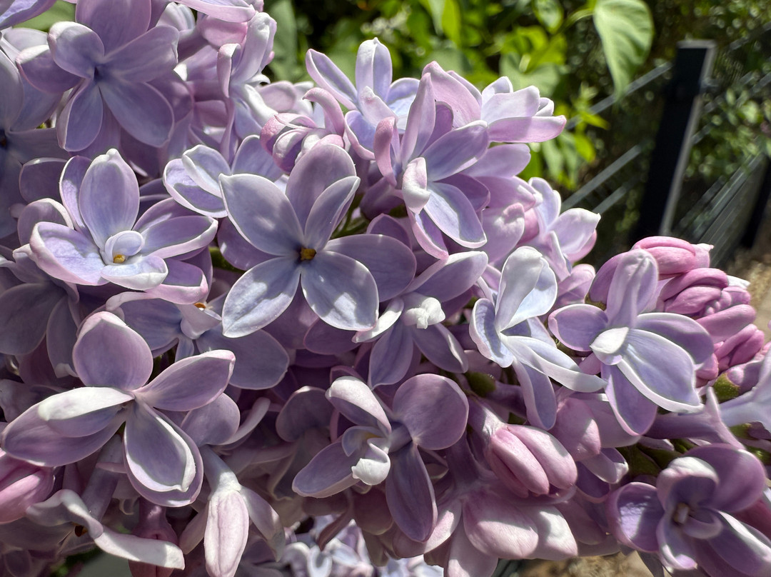 Mt. Cuba Center-Hockessin必去景点