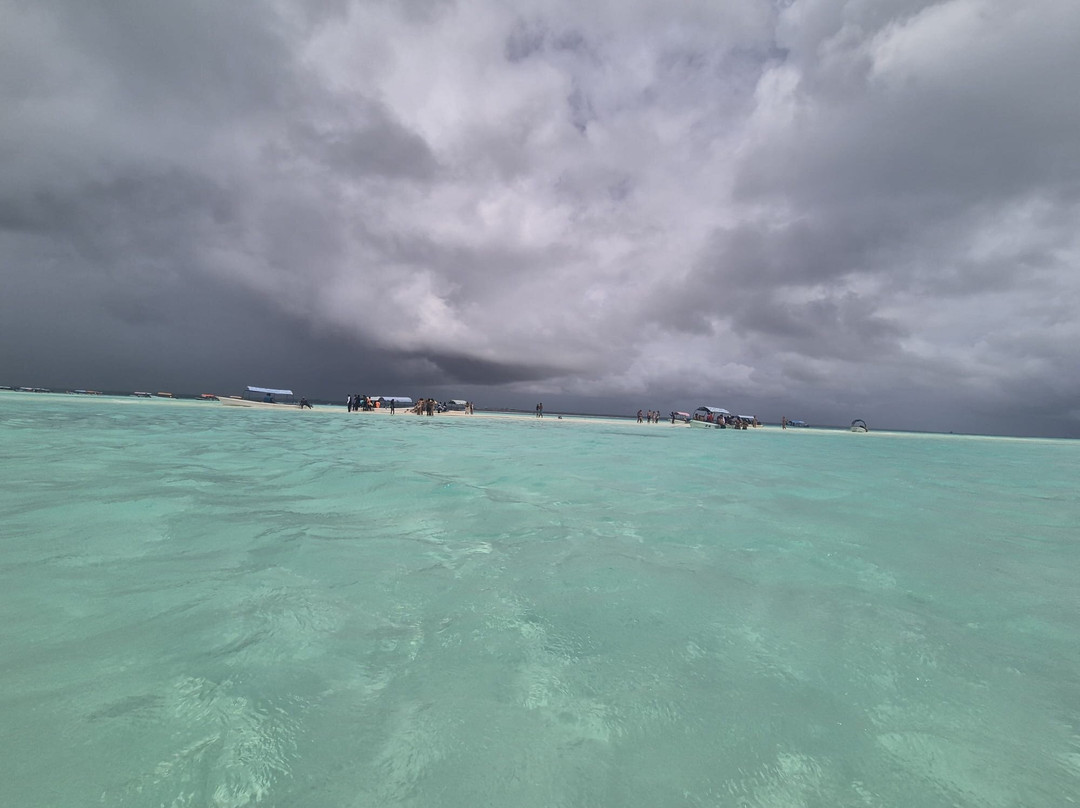 Jumanji Private Tours Zanzibar-Kidoti必去景点