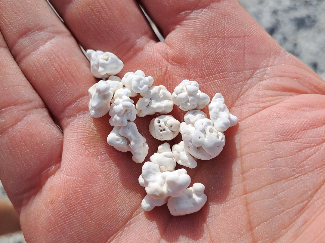 Playa del Mejillón-科拉雷侯必去景点