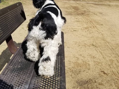 E. L. Pete Petersen Park-Menifee必去景点