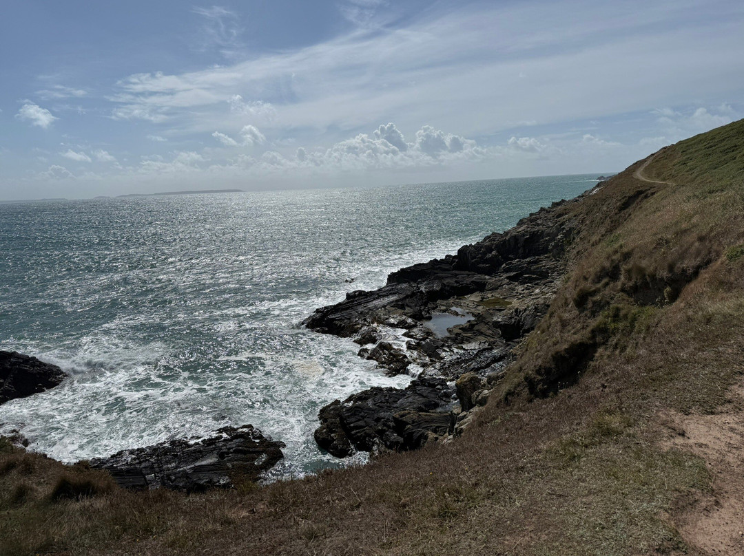 Porth Clais Harbour-St. Davids必去景点