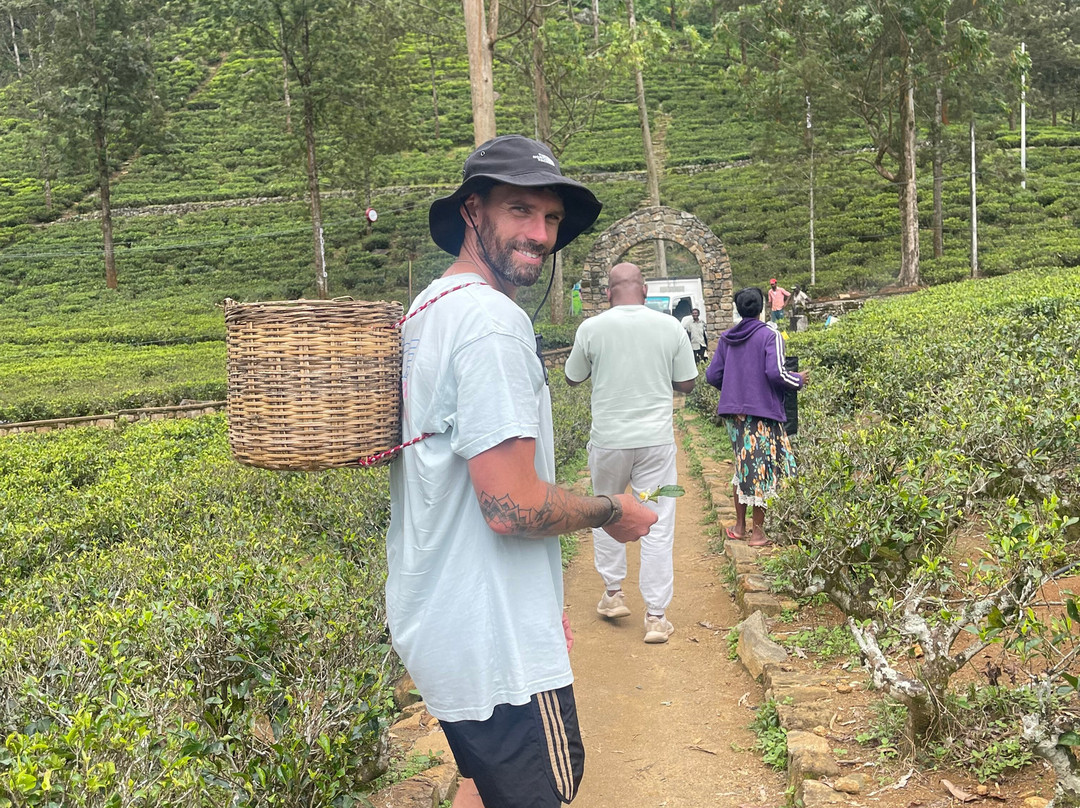 Ceylon Star Tours-Kaduwela必去景点