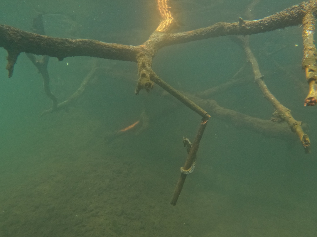 Las Tintoreras-维里亚米尔港必去景点