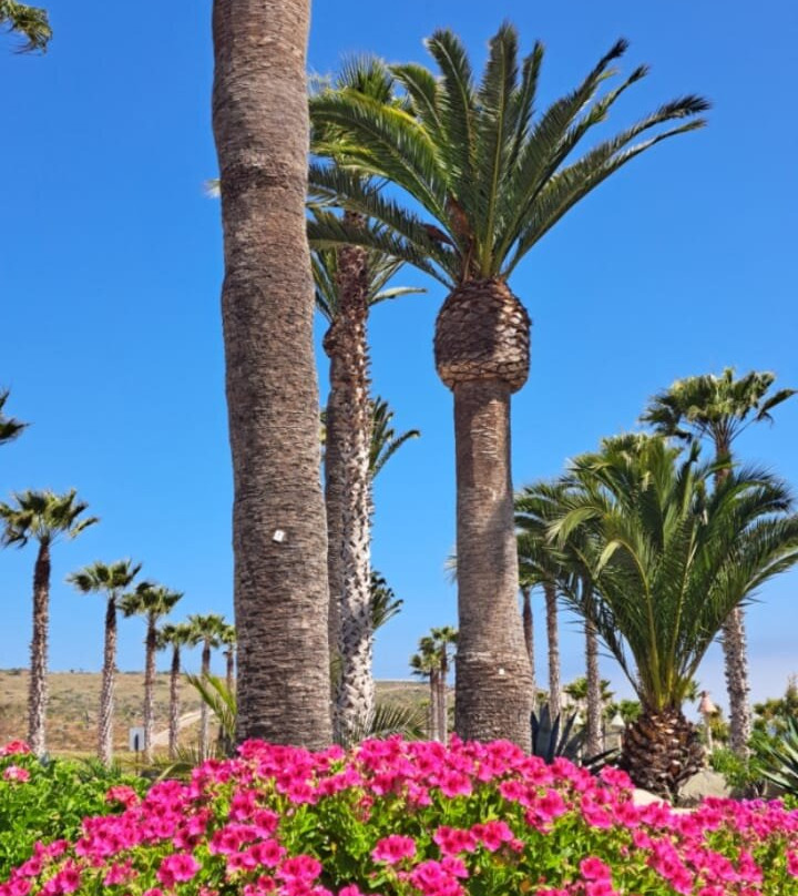 Las Tacas Apart Hotel and Apartments主图