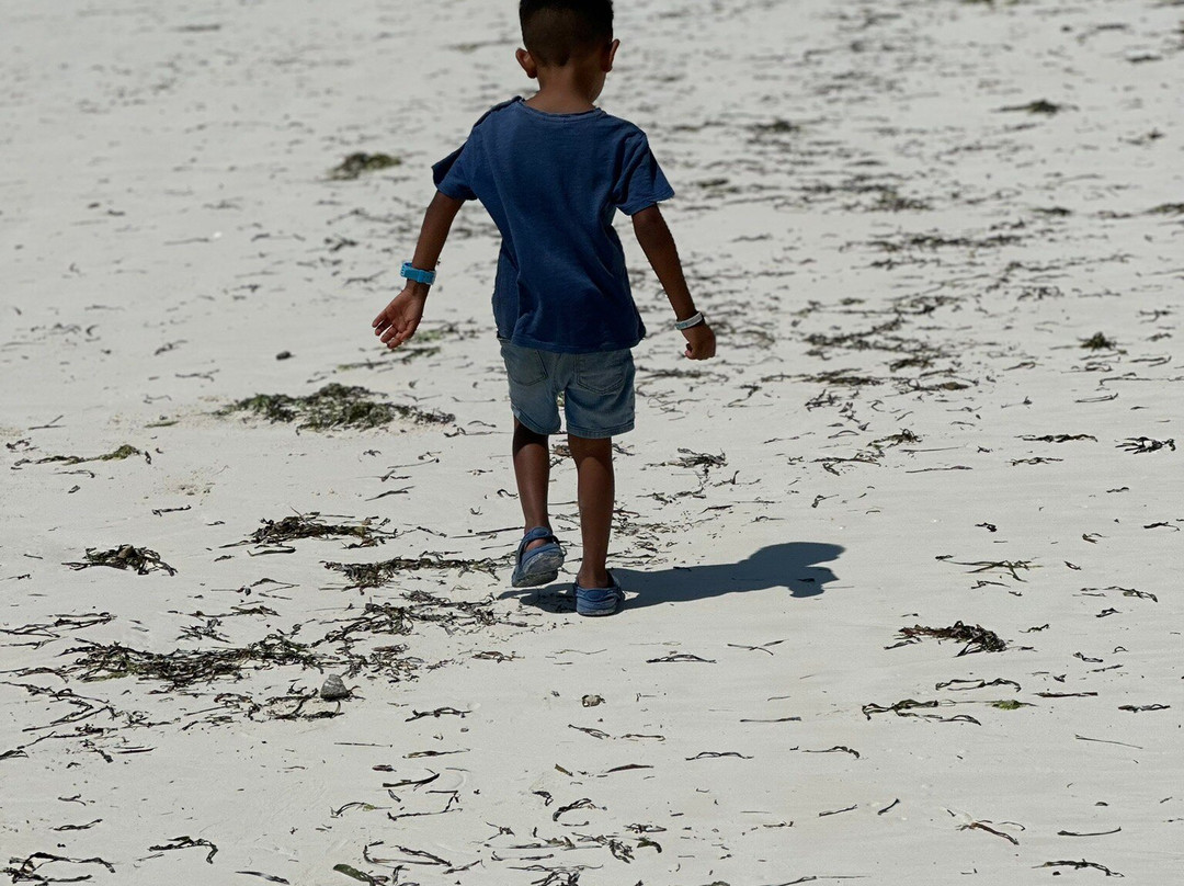 Bwejuu Beach-必韦久必去景点