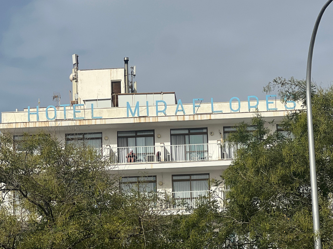 Hotel Amic Miraflores主图