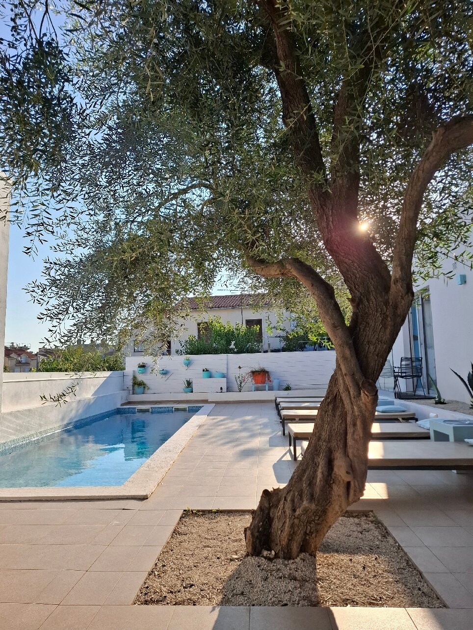 Monvidal Residence Guesthouse-官方