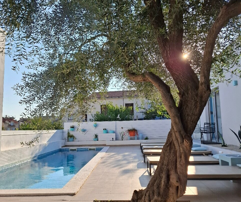 Monvidal Residence Guesthouse主图