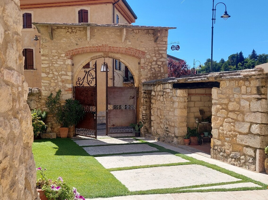 Arco DI Vino主图