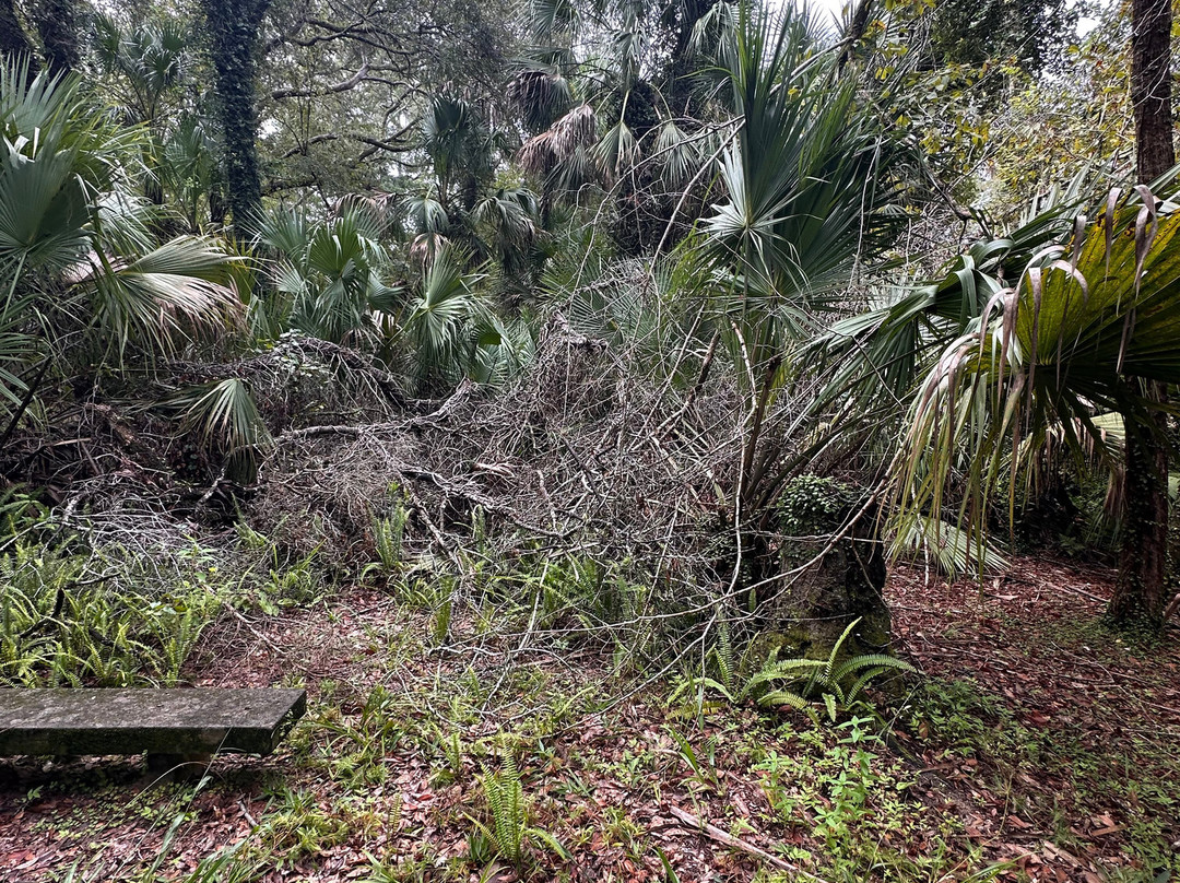 Juniper Springs Recreation Area-Silver Springs必去景点