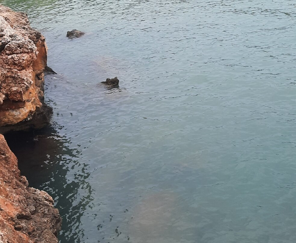 Cala s'Almunia-桑塔尼必去景点