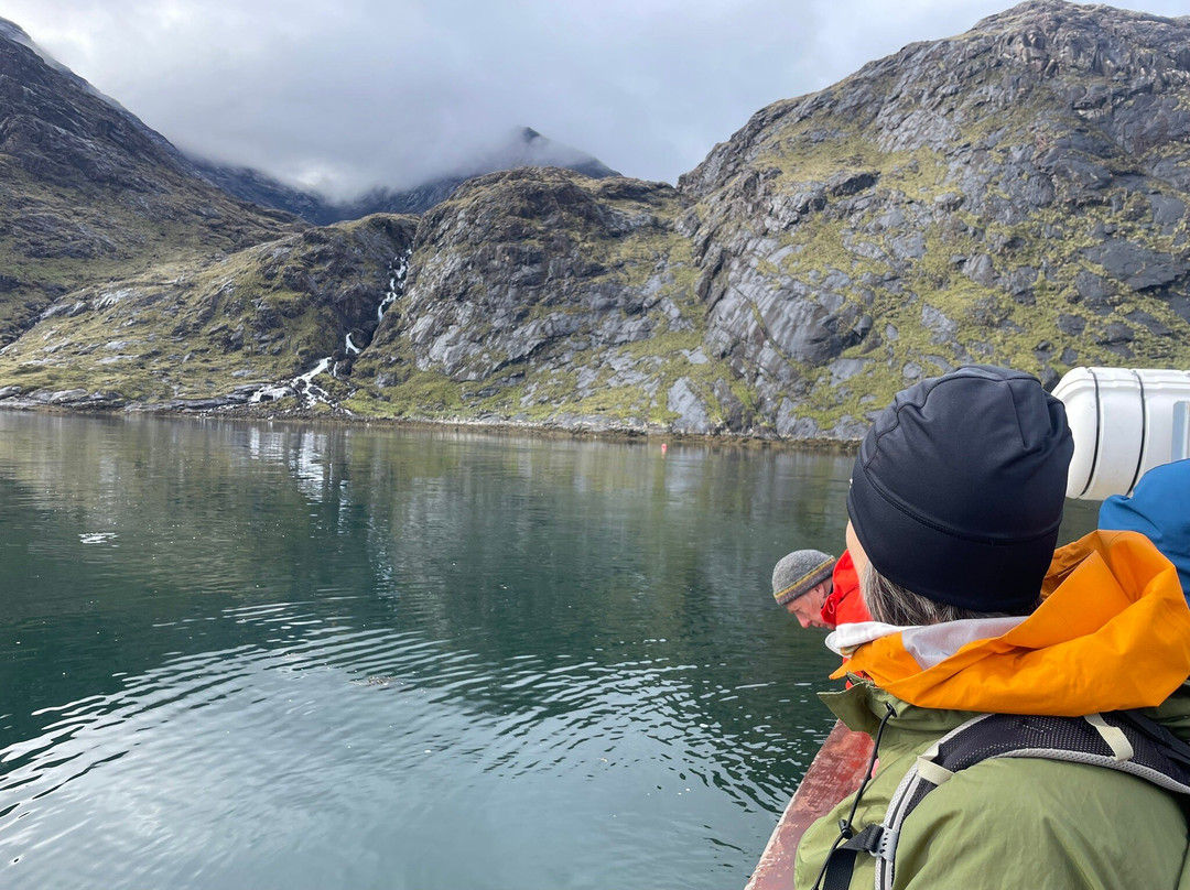 Misty Isle Boat Trips-Elgol必去景点