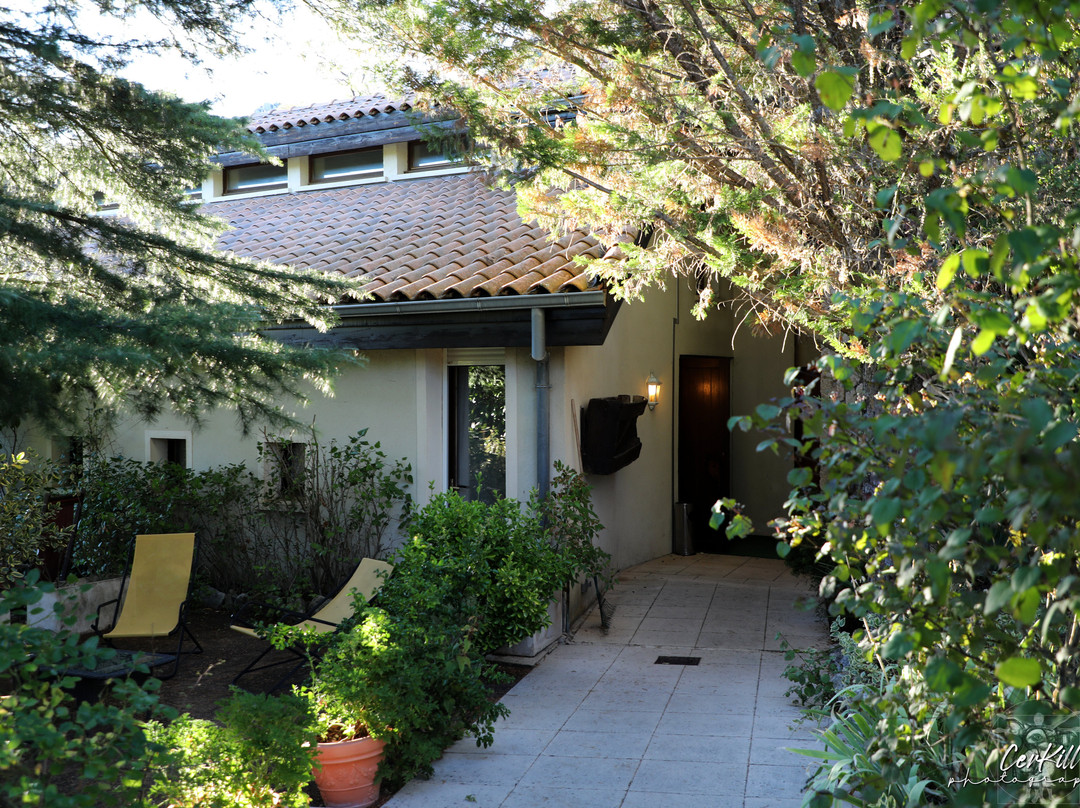 Hotel Le Vieil Amandier主图