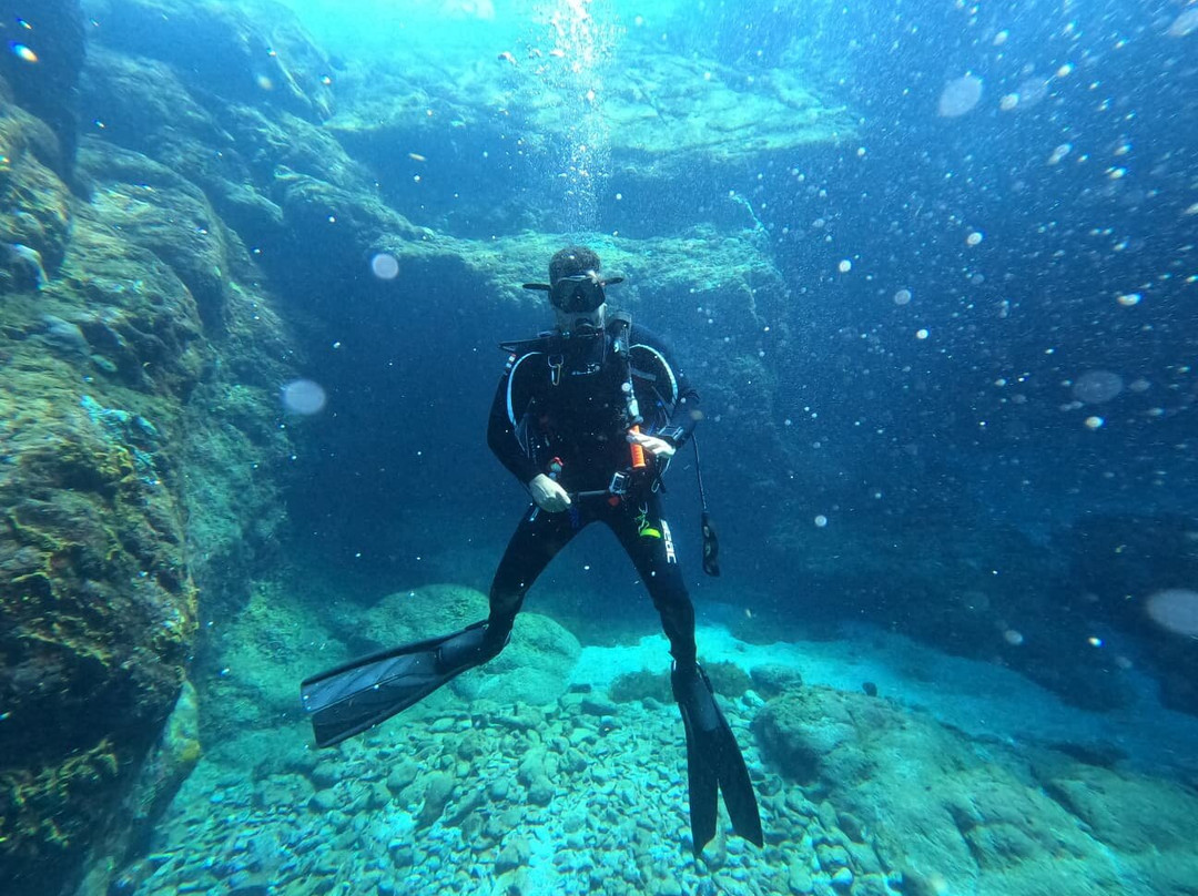 Aquatica Underwater Adventures-Aguadilla必去景点