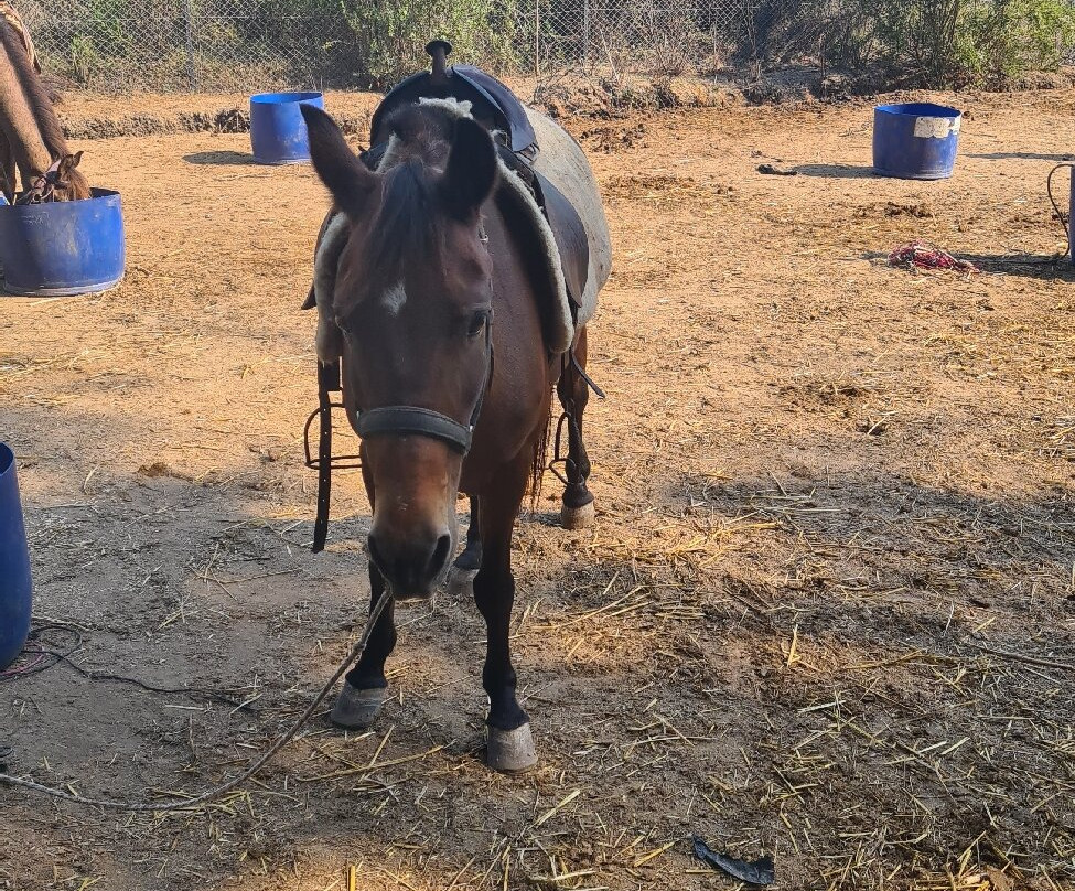 Hamish McTurk-Tours-费特希耶必去景点