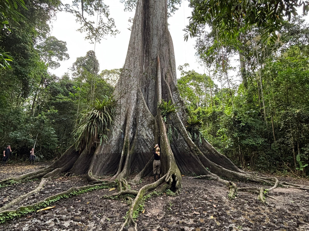 Amazon Experience-伊基托斯必去景点