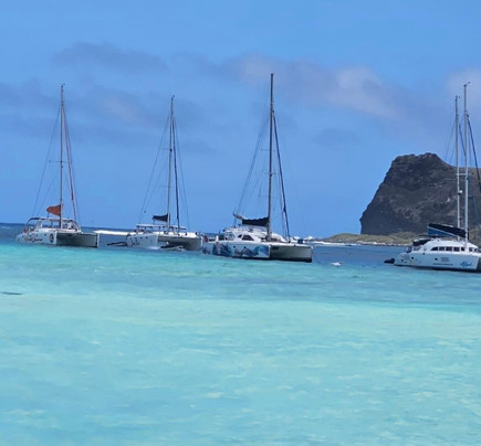 Taxi Ile Maurice Arvin-红地必去景点