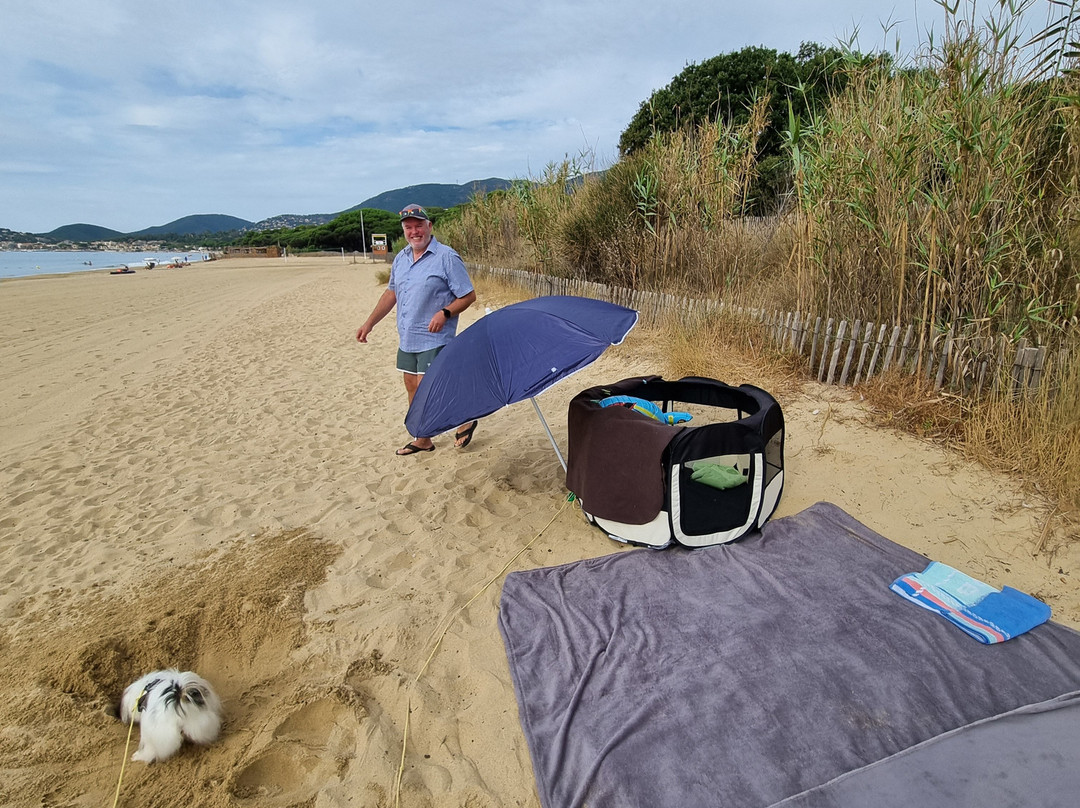 Plage de Pardigon-Cavalaire-Sur-Mer必去景点