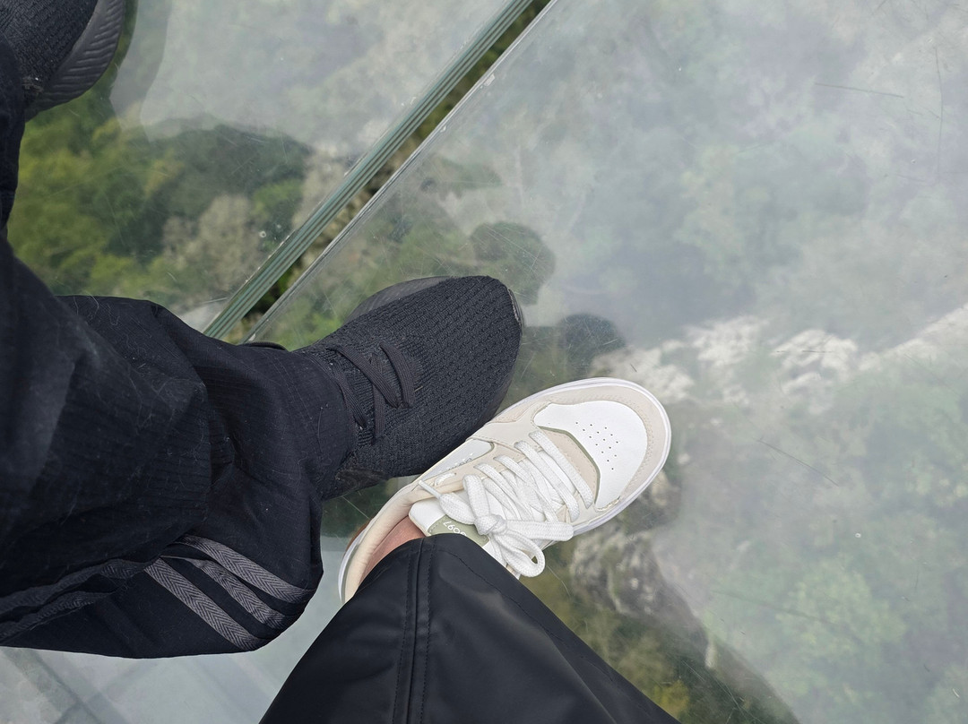 Skyglass Canela-卡内拉必去景点