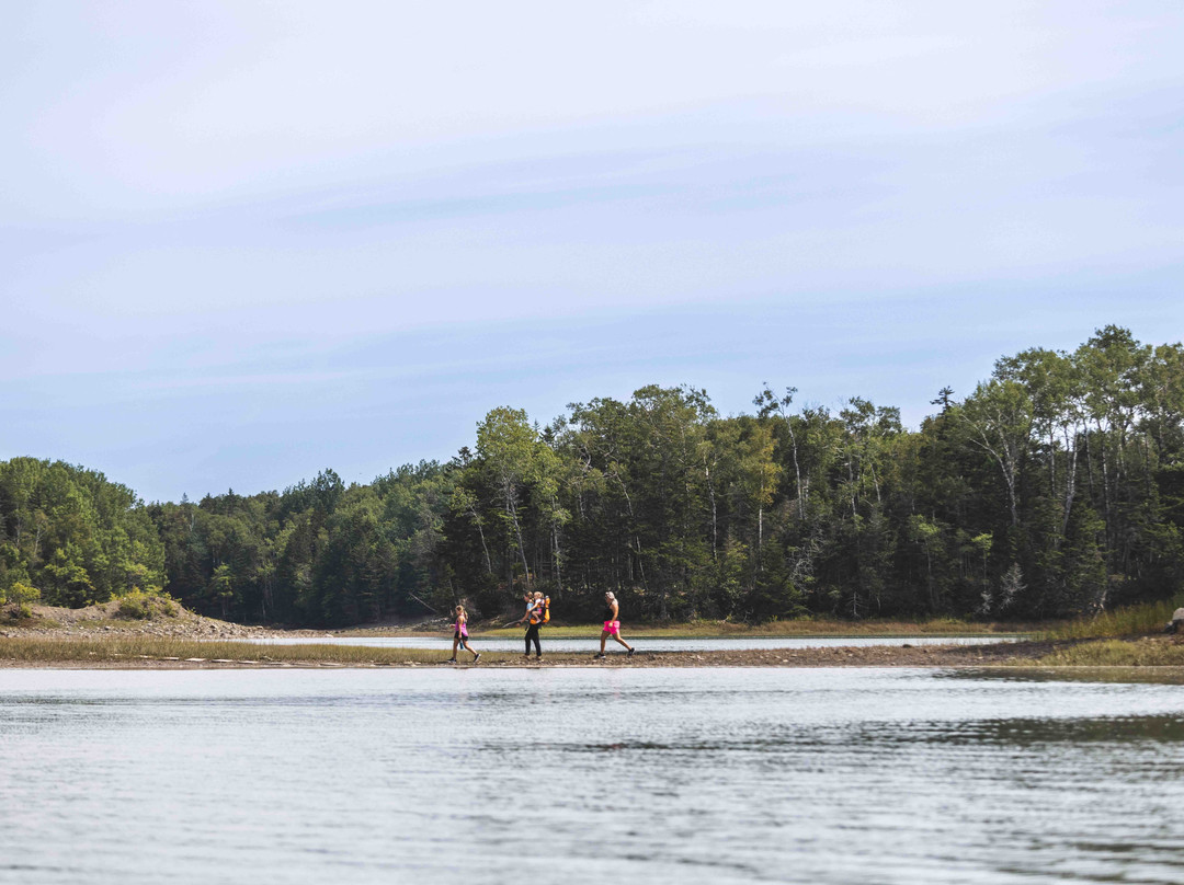 Cobscook Shores-Lubec必去景点