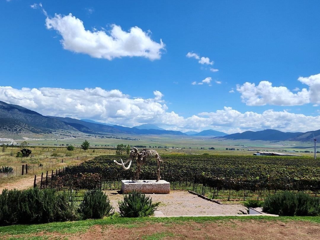 Bodega Los Cedros-Arteaga必去景点