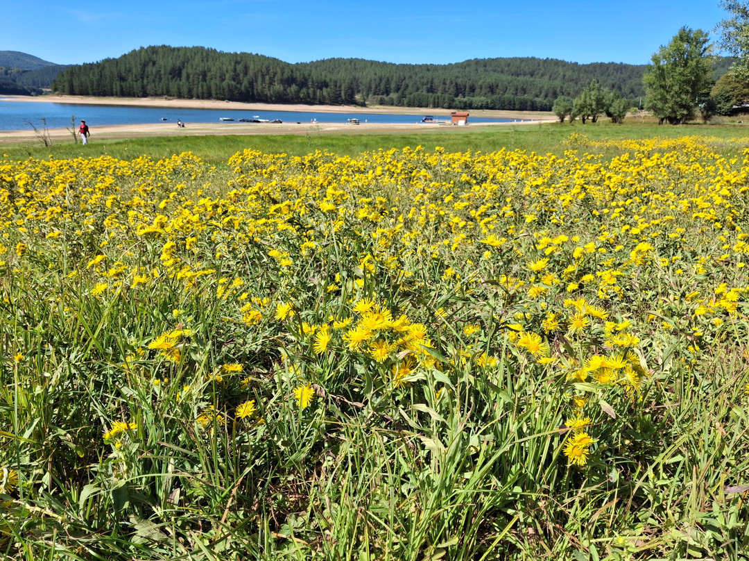 Lago Arvo-San Giovanni in Fiore必去景点