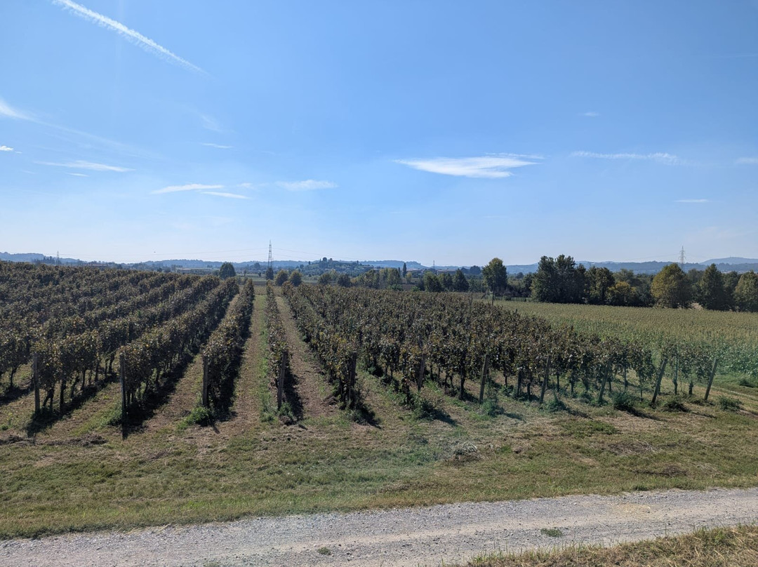 Barone Pizzini-Provaglio d'Iseo必去景点