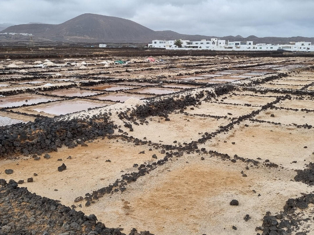 Salinas de los Cocoteros-Teguise必去景点