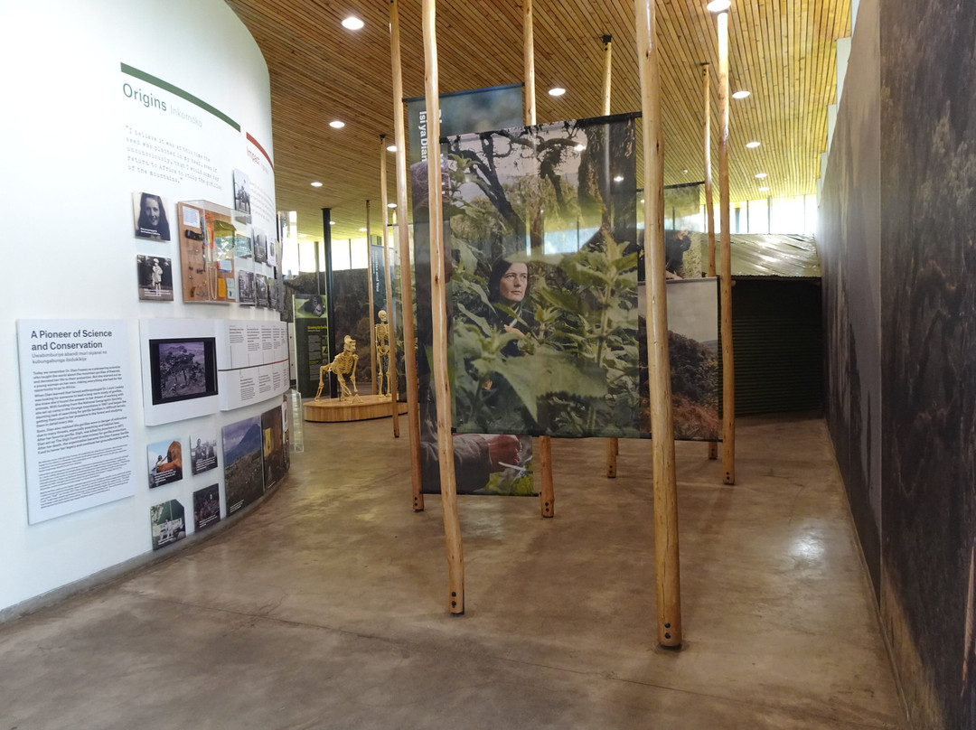 Ellen DeGeneres Campus of the Dian Fossey Gorilla Fund-Kinigi必去景点