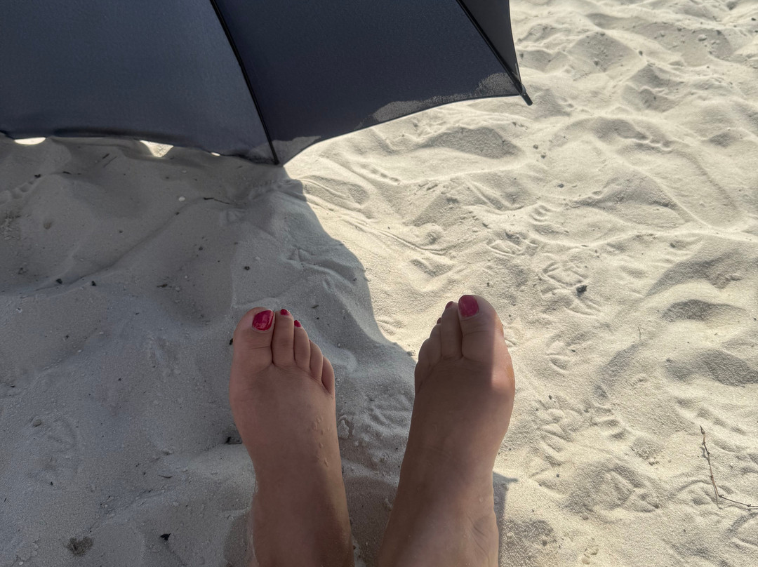 Fort Island Gulf Beach-克里斯特尔里弗必去景点