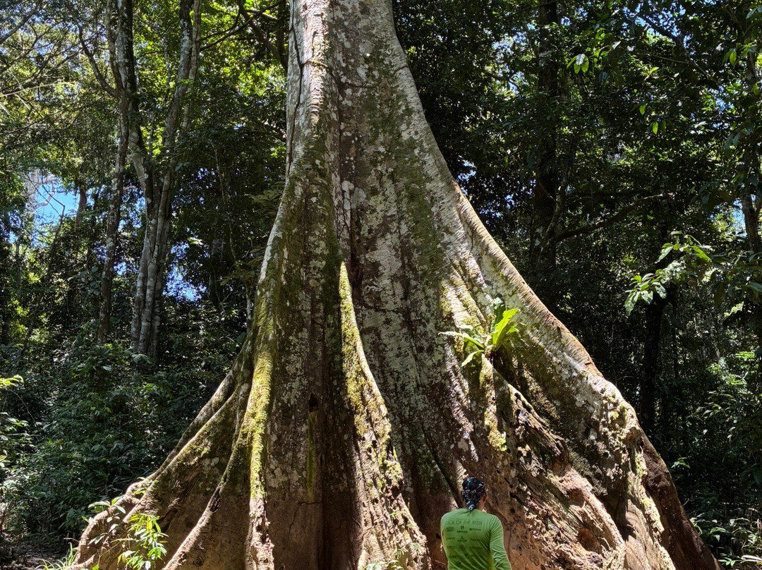 Amazonian Untamed Jungle Tours-伊基托斯必去景点