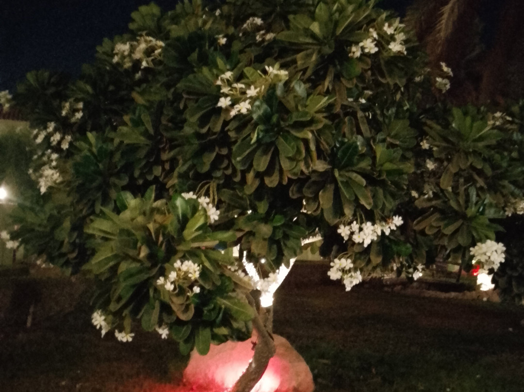 弗拉明戈海滩度假村主图