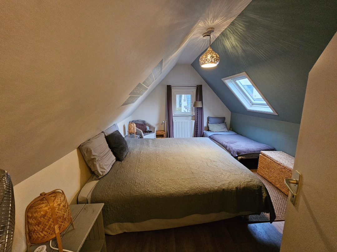 Atlas Guesthouse主图