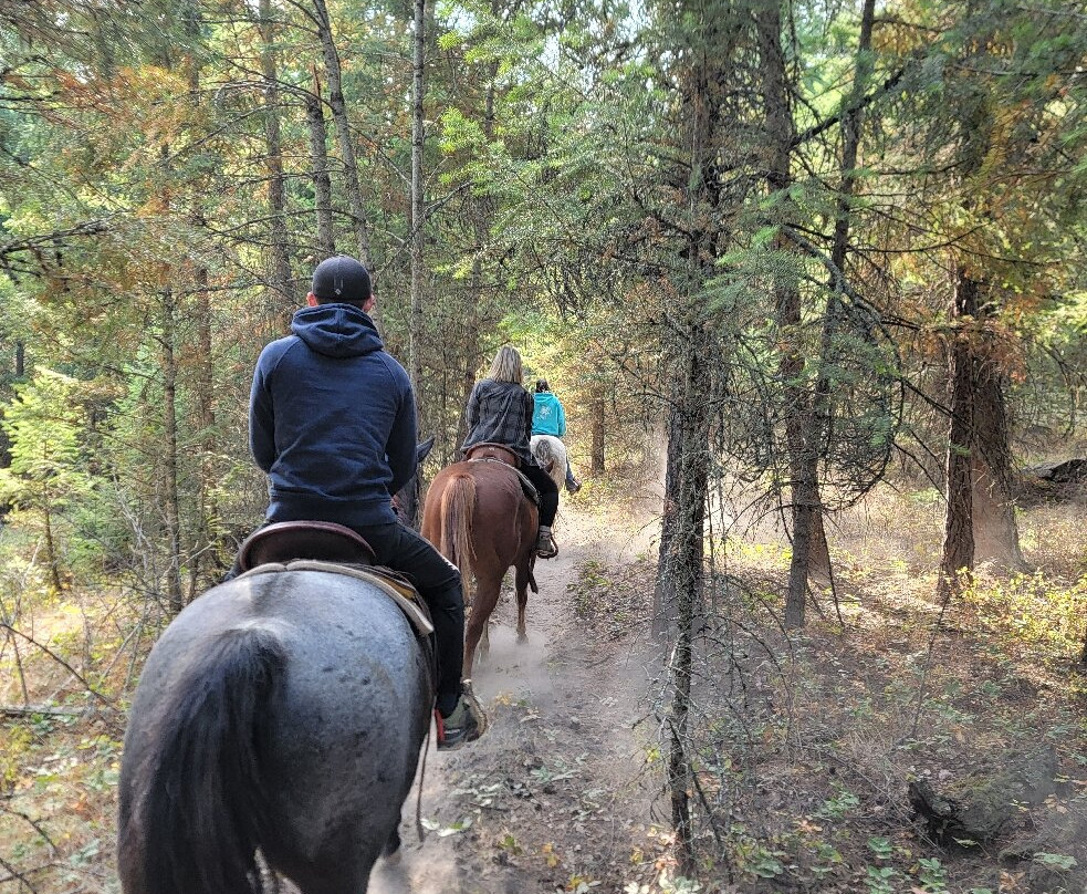 Montana Horse Works-卡利斯佩尔必去景点