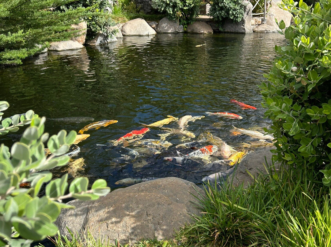 Ilha das Aves-Campanario必去景点