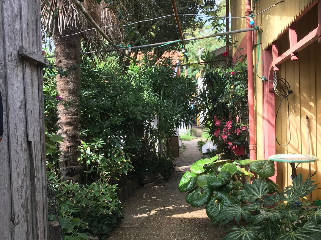 Bassin d'Arcachon-阿卡雄必去景点