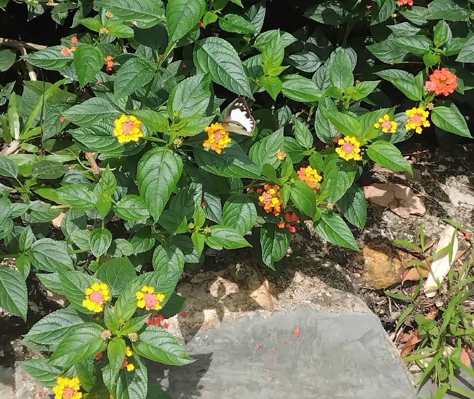 PU Luong Bocbandi Retreat主图