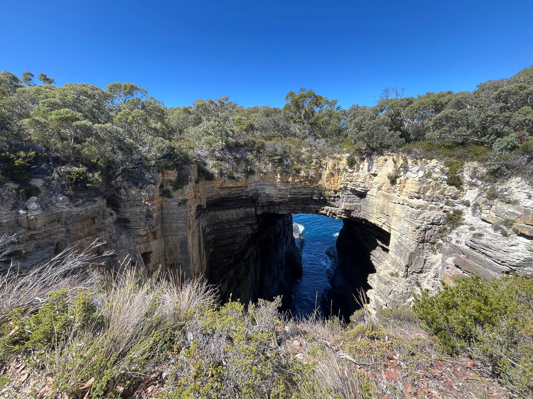 Tasmans Arch-伊格尔霍克内克必去景点