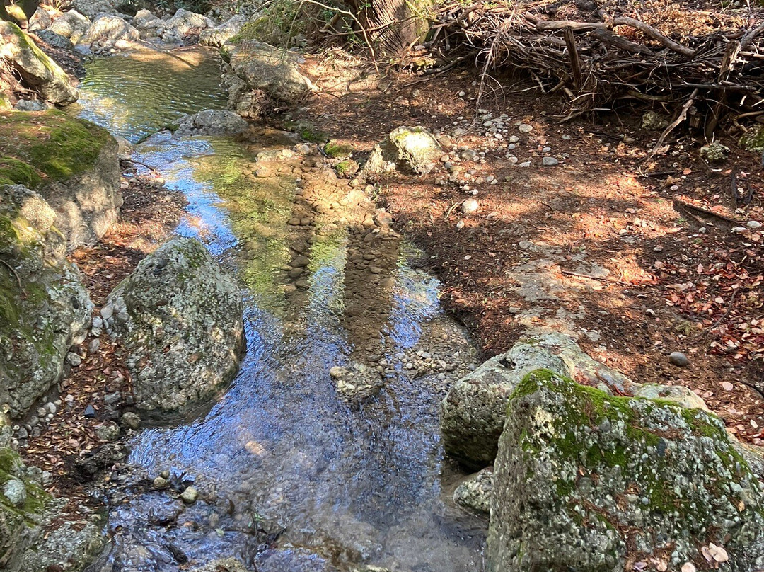 Butterflies Valley-Epano Kalamonas必去景点