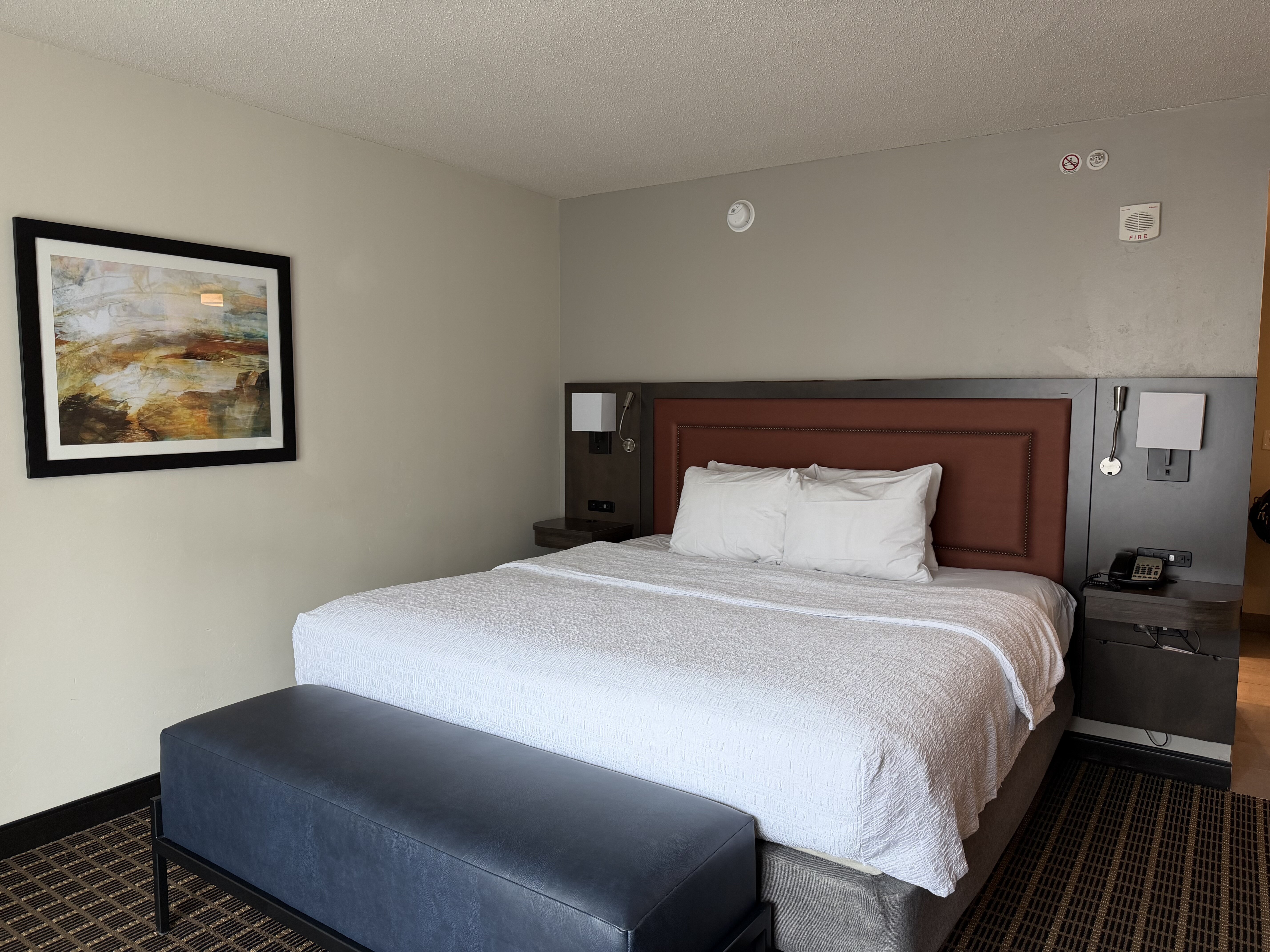 Hampton Inn & Suites Greenville-Downtown-RiverPlace-客卧