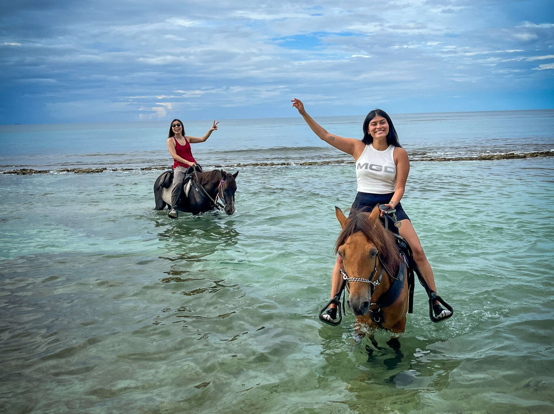 Colon Horseback Riding-维切克岛必去景点