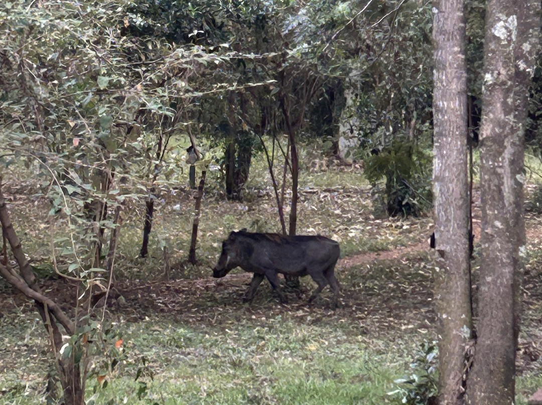 Talek Bush Camp Masai Mara主图