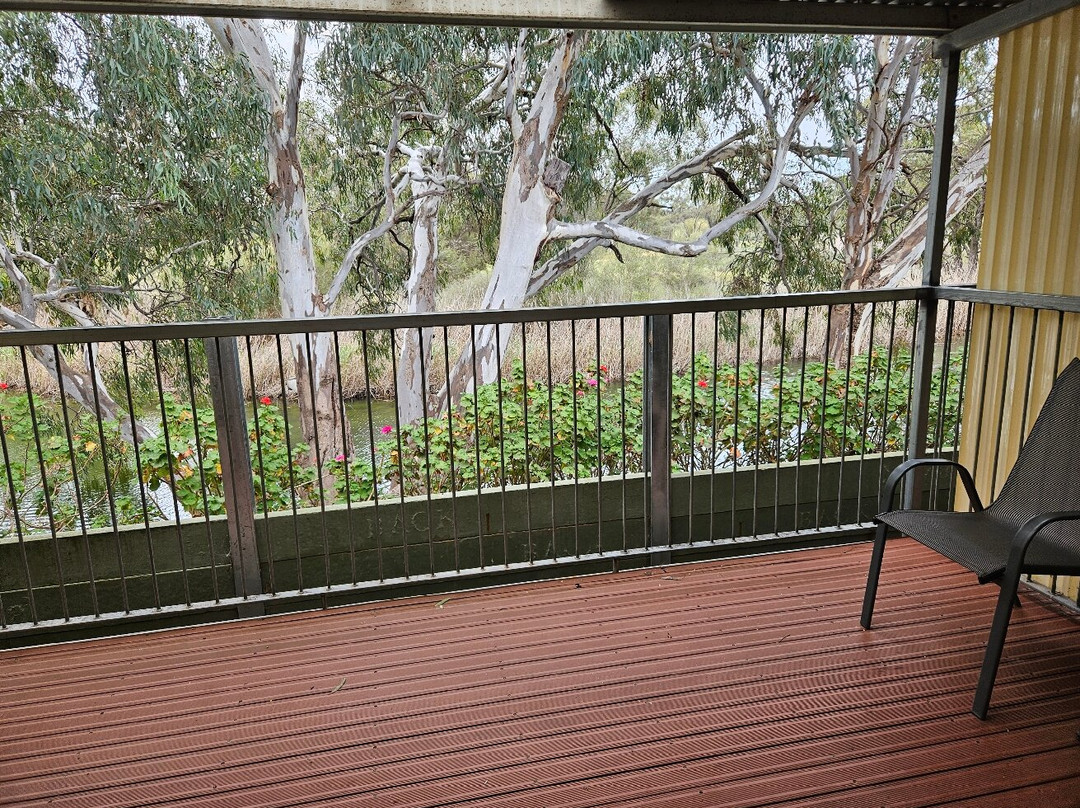 唐纳德河滨汽车旅馆