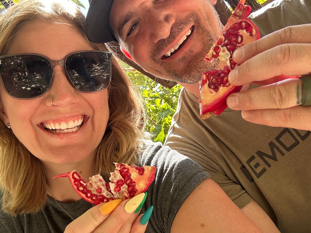 Kriti Allios | Κρήτη Αλλιώς-伊拉克利翁必去景点