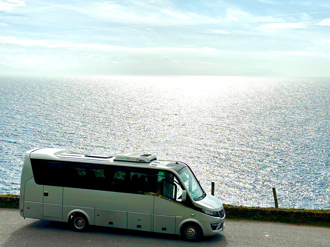 Executive Tours Ireland-利默里克必去景点