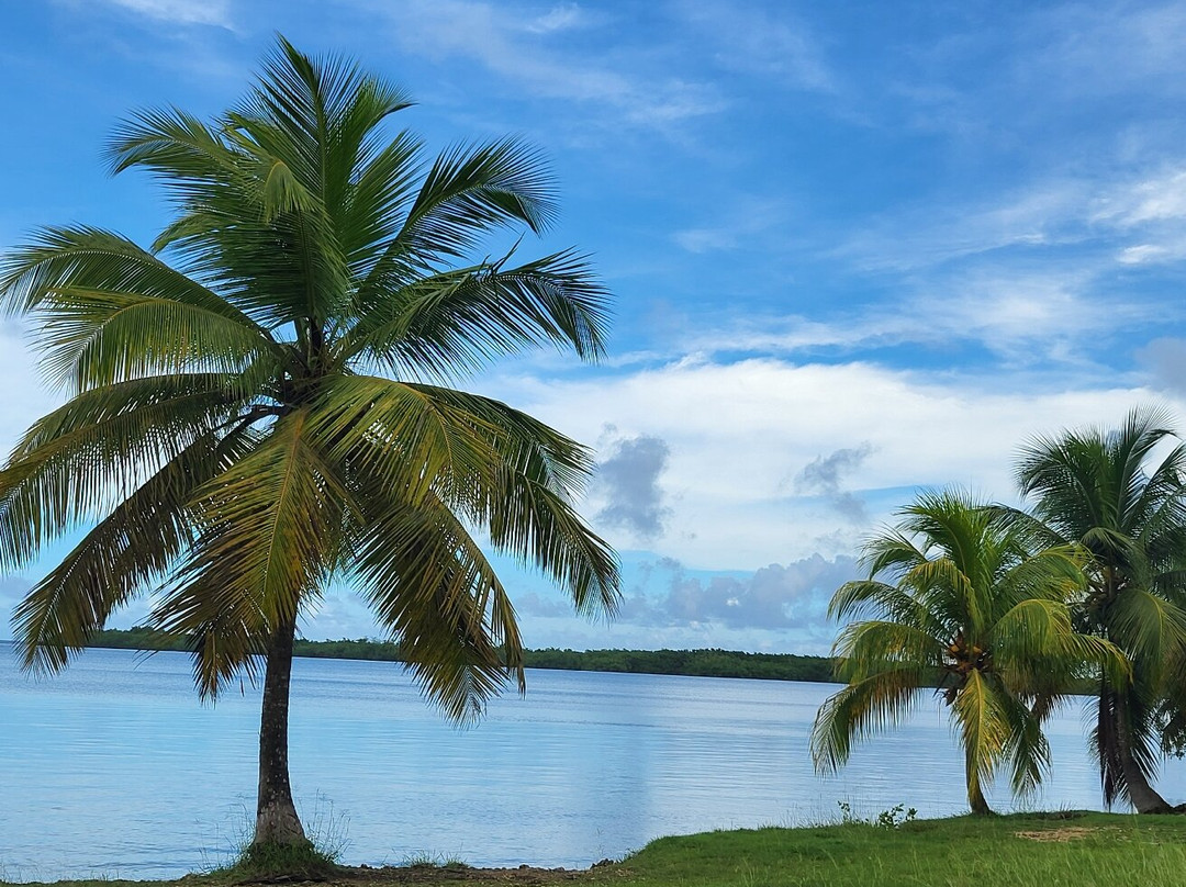 Plage de Babin-Morne-A-l'Eau必去景点