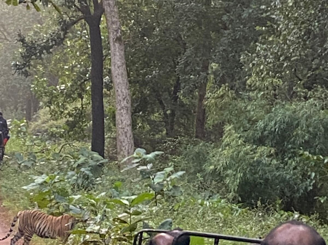 Tathastu Tadoba主图